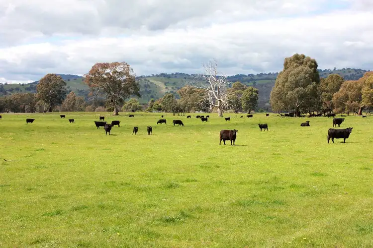 Fourth view of Homely rural property listing, 47 Millards Lane, Euroa VIC 3666