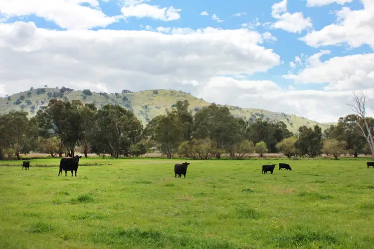 Sixth view of Homely rural property listing, 47 Millards Lane, Euroa VIC 3666