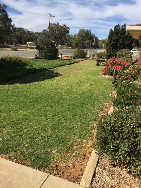 Second view of Homely house listing, 19 Thayne Tce, Lyrup SA 5343
