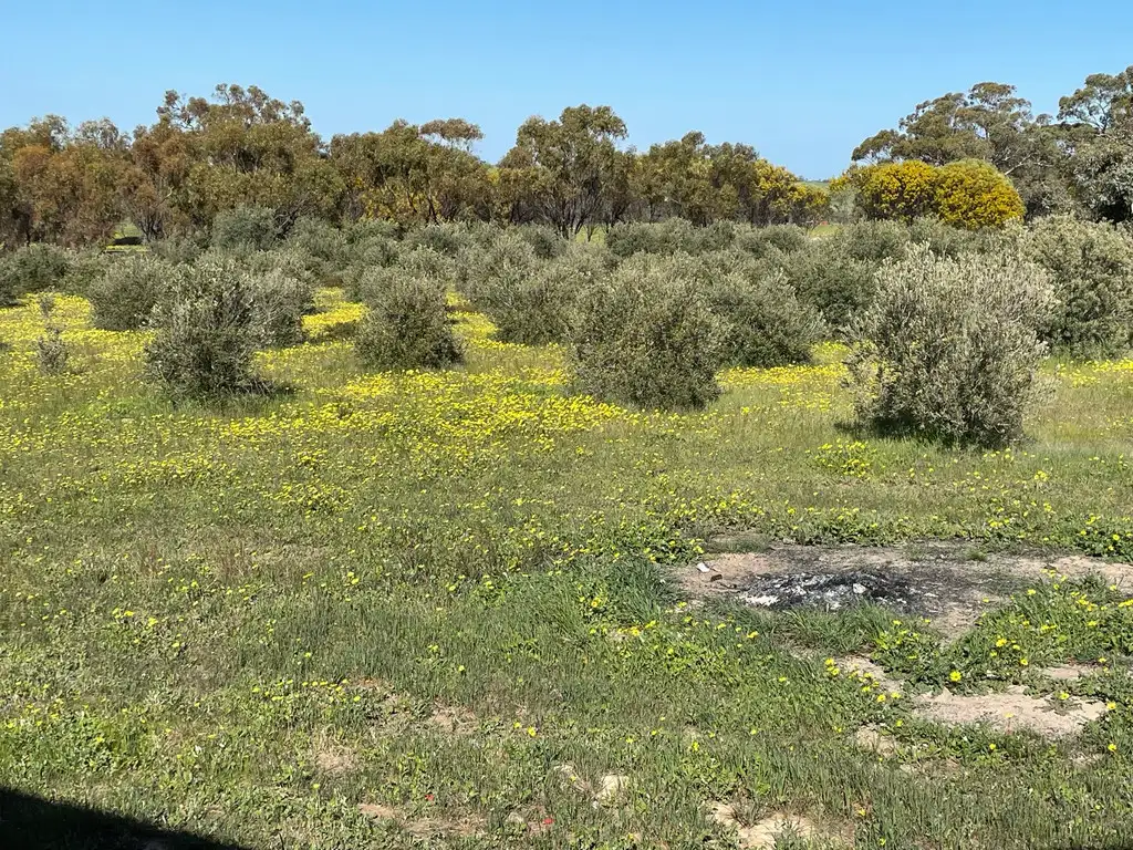 Main view of Homely rural property listing, 18722 Doodenanning-Mawson Road, Quairading WA 6383