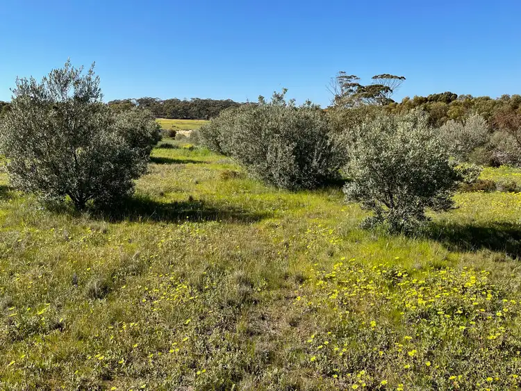 Third view of Homely rural property listing, 18722 Doodenanning-Mawson Road, Quairading WA 6383