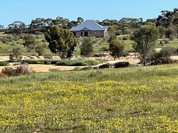 Fifth view of Homely rural property listing, 18722 Doodenanning-Mawson Road, Quairading WA 6383