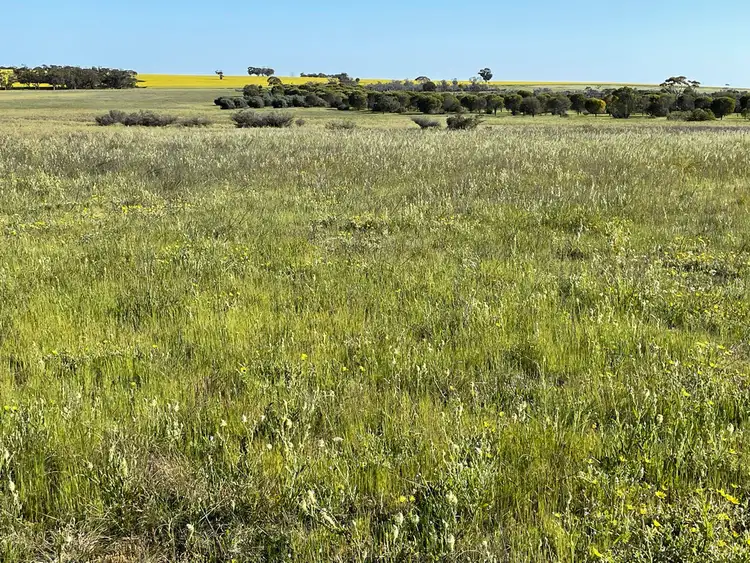 Seventh view of Homely rural property listing, 18722 Doodenanning-Mawson Road, Quairading WA 6383