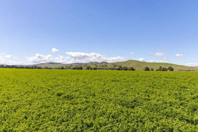 Fifth view of Homely rural property listing, 0 "Fernhill Flats" Hume Highway, Gundagai NSW 2722