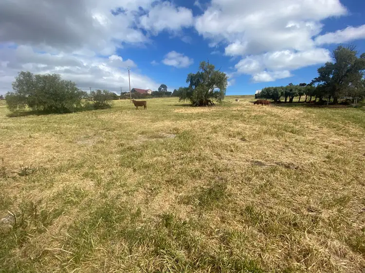 Section 787 Jervois Road, Jervois SA 5259