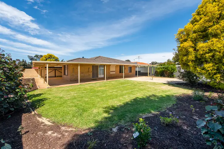 Main view of Homely house listing, 49 Sacramento Avenue, Beechboro WA 6063