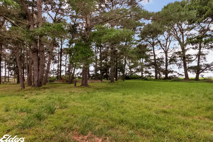 Fifth view of Homely rural property listing, . Woranga School Road, Yarram VIC 3971
