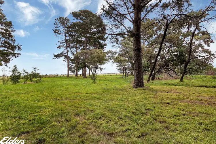 Seventh view of Homely rural property listing, . Woranga School Road, Yarram VIC 3971