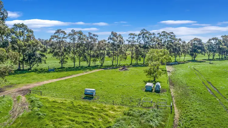 Seventh view of Homely rural property listing, 706 Payne Road, Boallia WA 6280