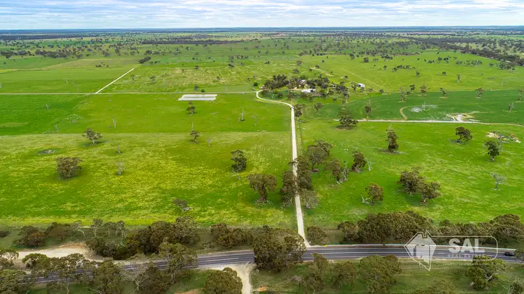 Second view of Homely rural property listing, 4852 Riddoch Highway, Padthaway SA 5271