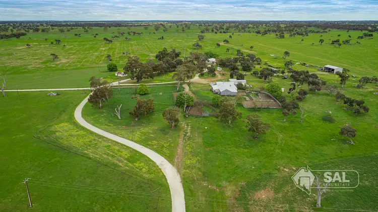 Third view of Homely rural property listing, 4852 Riddoch Highway, Padthaway SA 5271