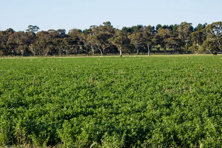 Seventh view of Homely rural property listing, 4852 Riddoch Highway, Padthaway SA 5271