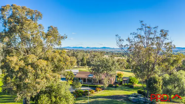 Second view of Homely house listing, 17 Nelson Crescent, Tamworth NSW 2340