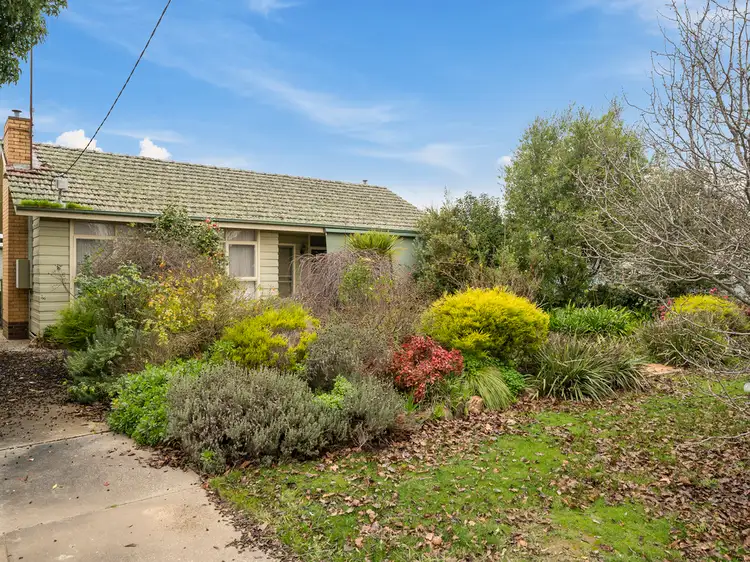 Main view of Homely house listing, 17 - 19 Scobie Street, Euroa VIC 3666