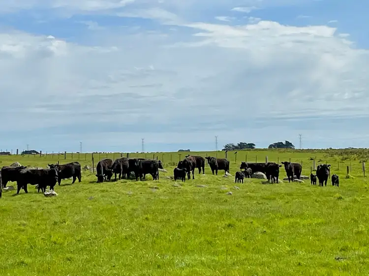 Second view of Homely rural property listing, 884 TARRONE NORTH ROAD, Tarrone VIC 3283