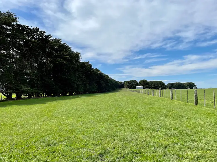 Sixth view of Homely rural property listing, 884 TARRONE NORTH ROAD, Tarrone VIC 3283
