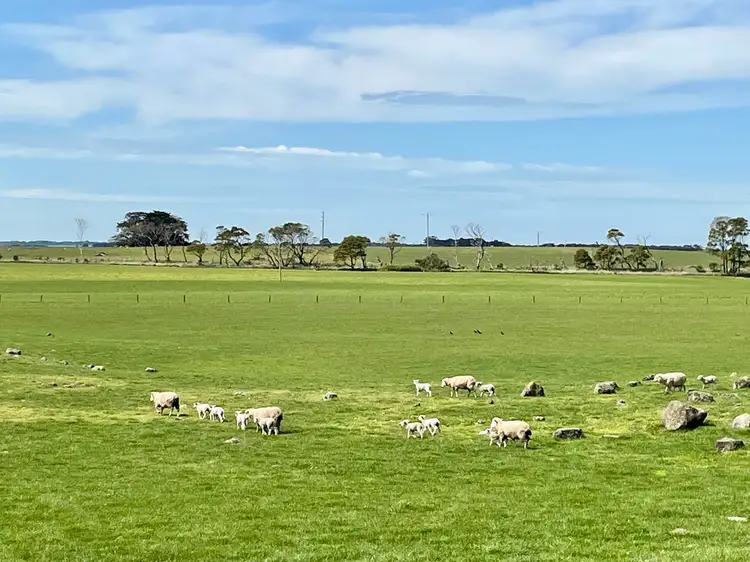 Seventh view of Homely rural property listing, 884 TARRONE NORTH ROAD, Tarrone VIC 3283
