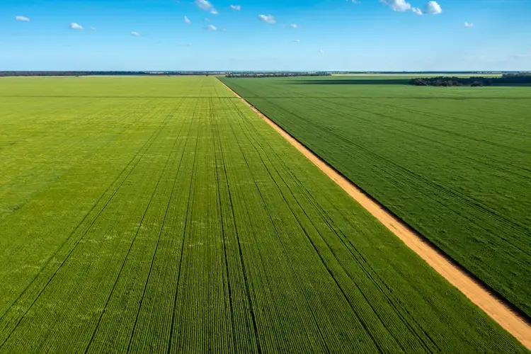 2354 Back Morundah Road