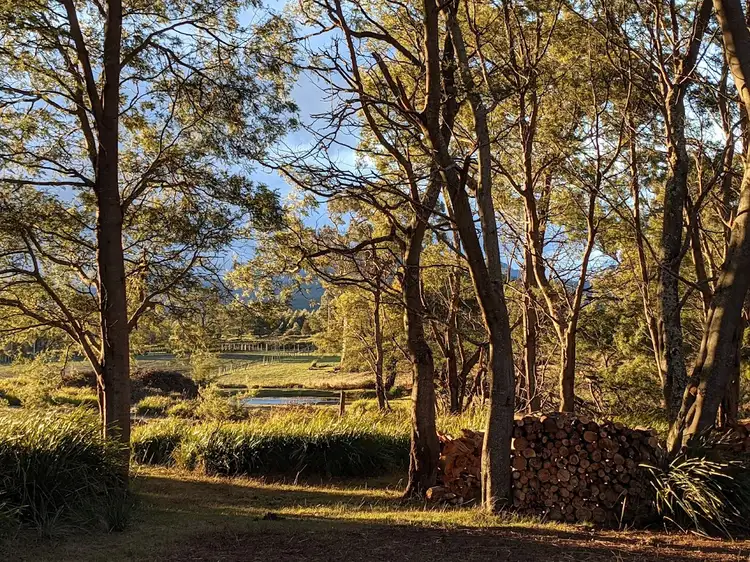Main view of Homely land listing, Lot 1 Bent Street, Mathinna TAS 7214