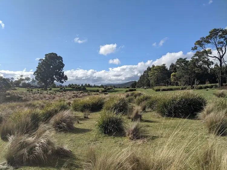 Fifth view of Homely land listing, Lot 1 Bent Street, Mathinna TAS 7214