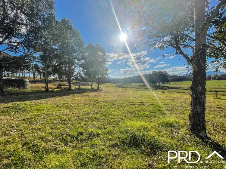 Fifth view of Homely rural property listing, 18689 Clarence Way, Woodenbong NSW 2476