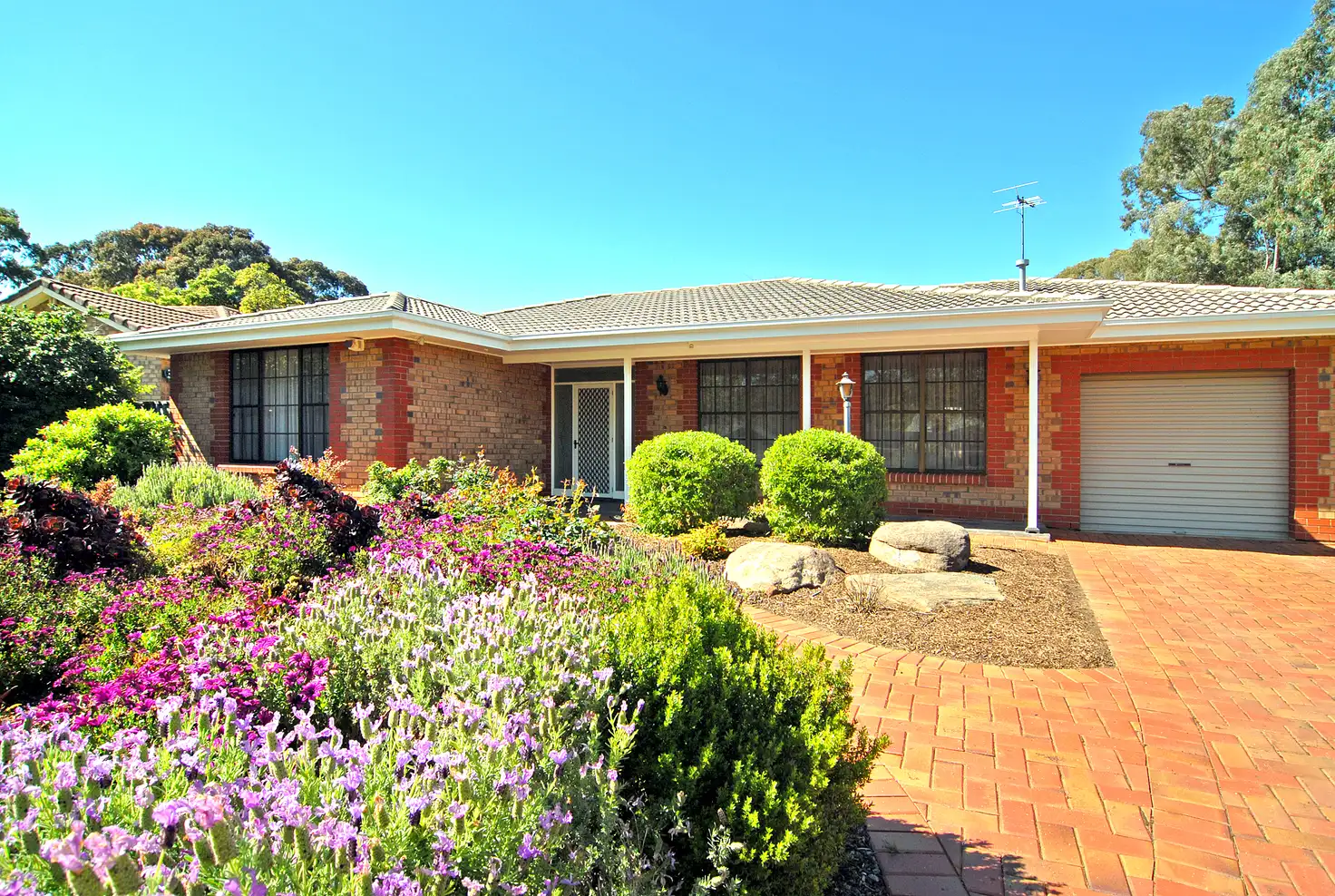Main view of Homely house listing, 1 Ey Court, Athelstone SA 5076