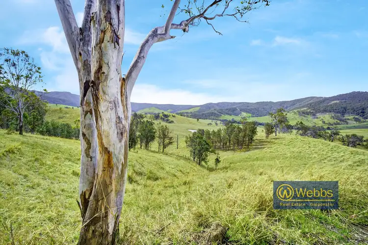 Second view of Homely rural property listing, Lot 12 DP 10248, Gloucester NSW 2422