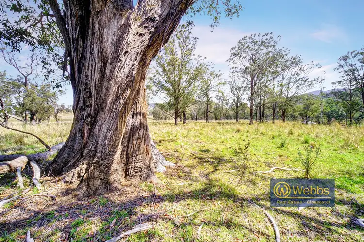 Fifth view of Homely rural property listing, Lot 12 DP 10248, Gloucester NSW 2422