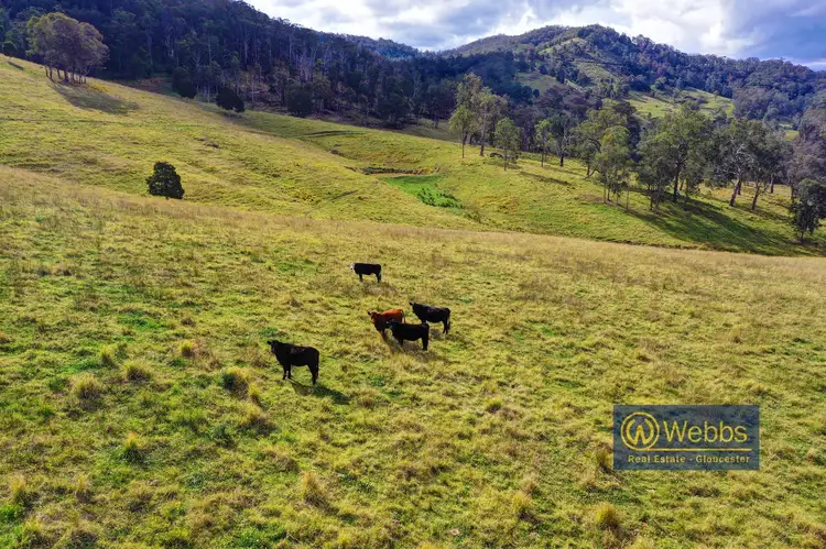 Second view of Homely rural property listing, Lots 43, 62 & 65 DP 753153, Gloucester NSW 2422