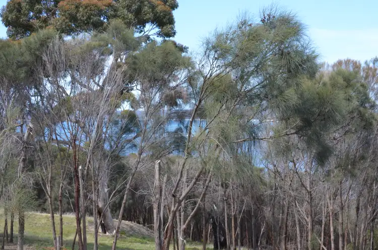 Fifth view of Homely land listing, 56 FALIE COURT, American River SA 5221