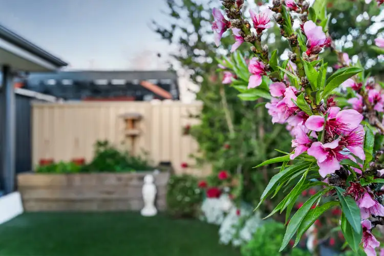 Sixth view of Homely house listing, 14 Admiral Pde, Seaford Meadows SA 5169