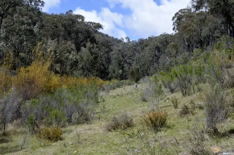 1781 Queens Pinch Road, Mudgee NSW 2850