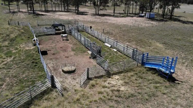 Second view of Homely rural property listing, 630 ACRES CATTLE GRAZING, Jandowae QLD 4410