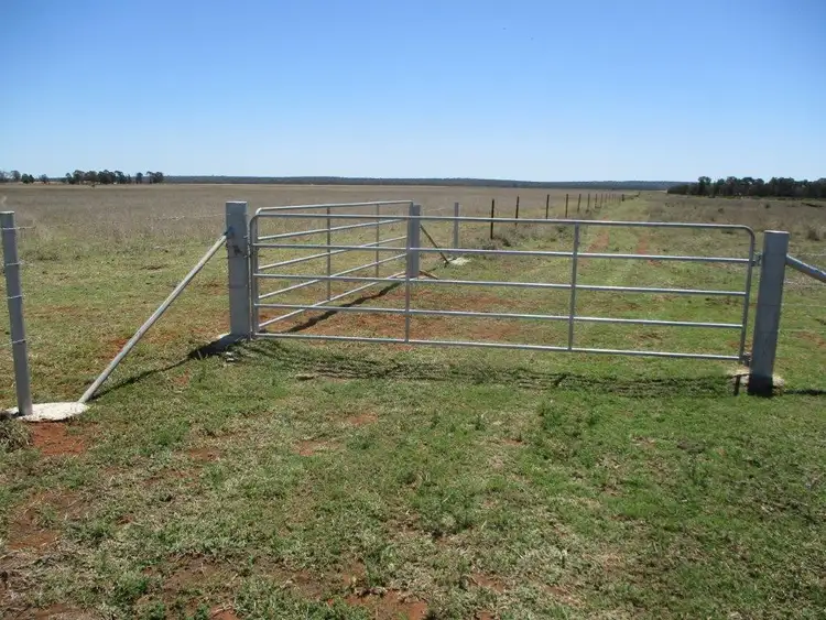 Fourth view of Homely rural property listing, 630 ACRES CATTLE GRAZING, Jandowae QLD 4410