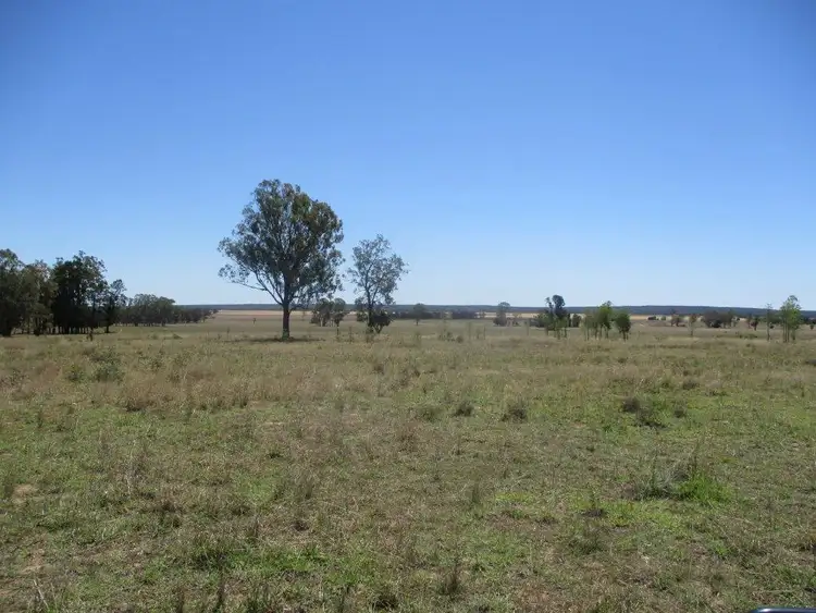 Fifth view of Homely rural property listing, 630 ACRES CATTLE GRAZING, Jandowae QLD 4410