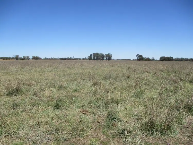 Seventh view of Homely rural property listing, 630 ACRES CATTLE GRAZING, Jandowae QLD 4410