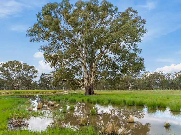 Fifth view of Homely rural property listing, 0 Corner of Lomers Road & Lawrence Road Balmattum, Euroa VIC 3666