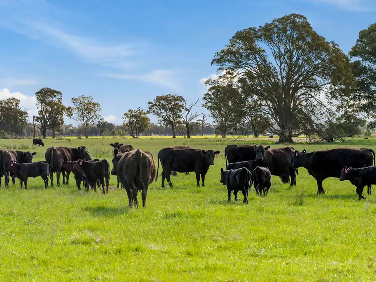 Seventh view of Homely rural property listing, 0 Corner of Lomers Road & Lawrence Road Balmattum, Euroa VIC 3666