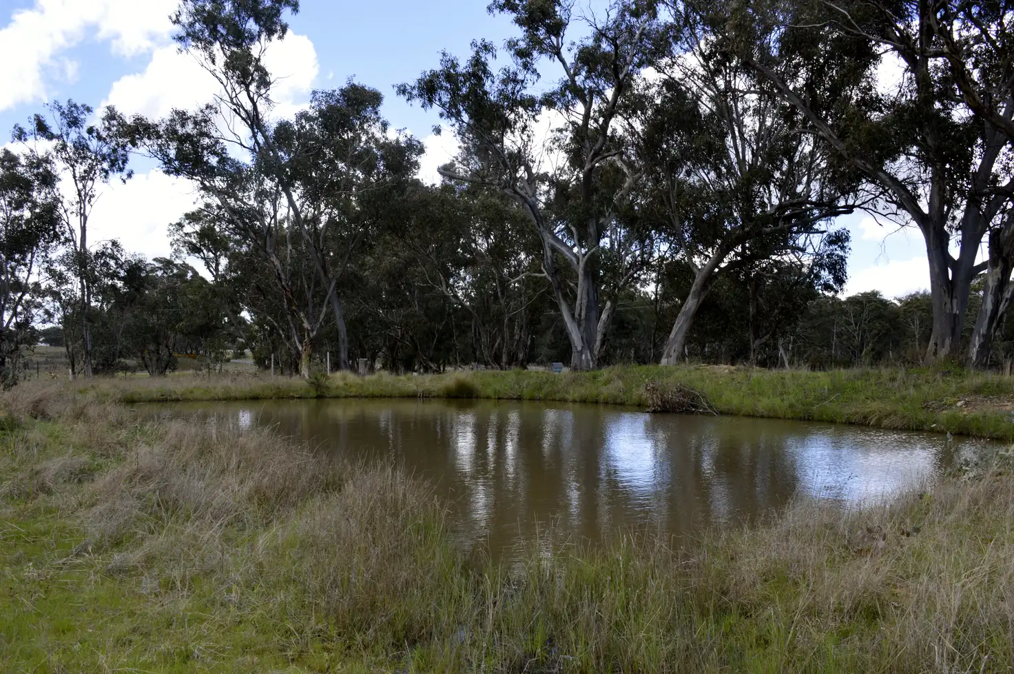 Main view of Homely rural property listing, 1794 Windeyer Road, Mudgee NSW 2850