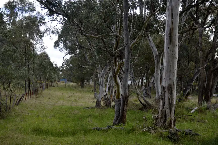 Third view of Homely rural property listing, 1794 Windeyer Road, Mudgee NSW 2850