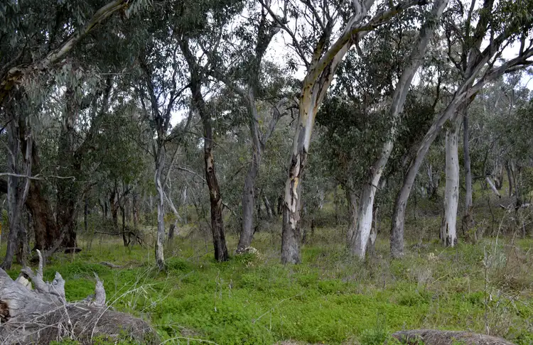 Fourth view of Homely rural property listing, 1794 Windeyer Road, Mudgee NSW 2850