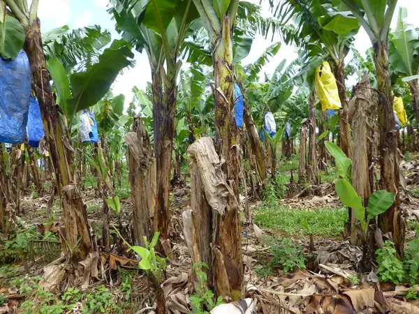 Third view of Homely rural property listing, Address available on request