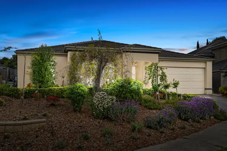 Main view of Homely house listing, 17 Orbison Court, Endeavour Hills VIC 3802