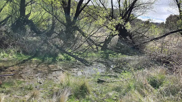 Fifth view of Homely rural property listing, Lot 58 Perke Road, Mudgee NSW 2850