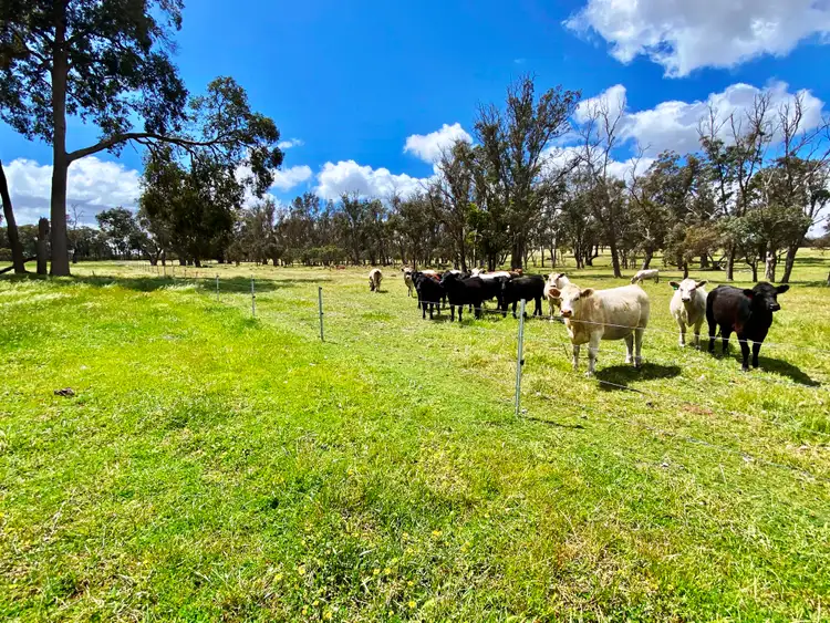 Fourth view of Homely rural property listing, Lot 8 Six Mile Road, Mayanup WA 6244