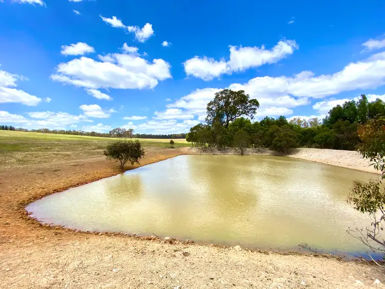 Fourth view of Homely rural property listing, Lot 5 & 7 Six Mile Road, Mayanup WA 6244