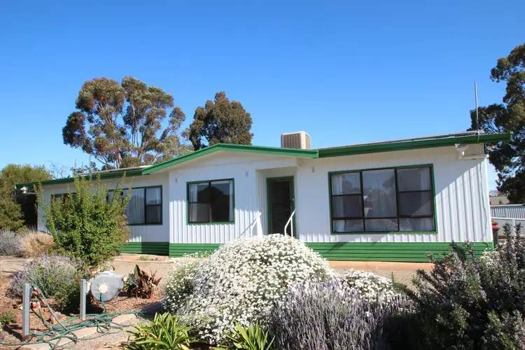 Main view of Homely house listing, 10 JOHN STREET, Jamestown SA 5491