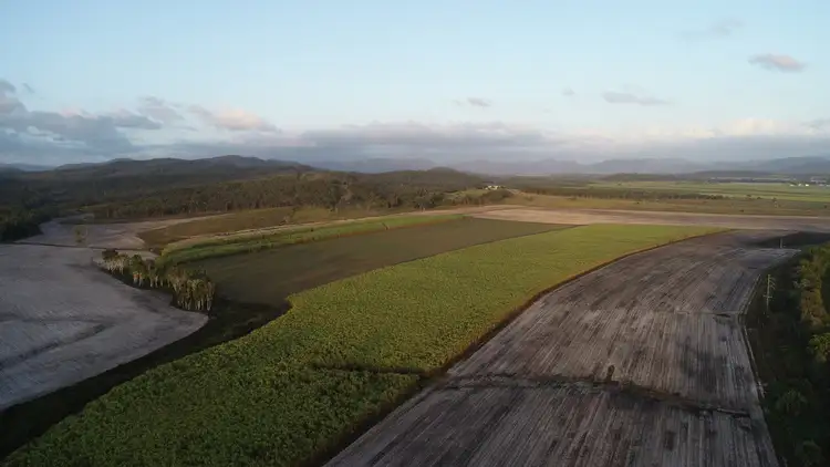 Fourth view of Homely rural property listing, 87773 Bruce Highway, Koumala QLD 4738