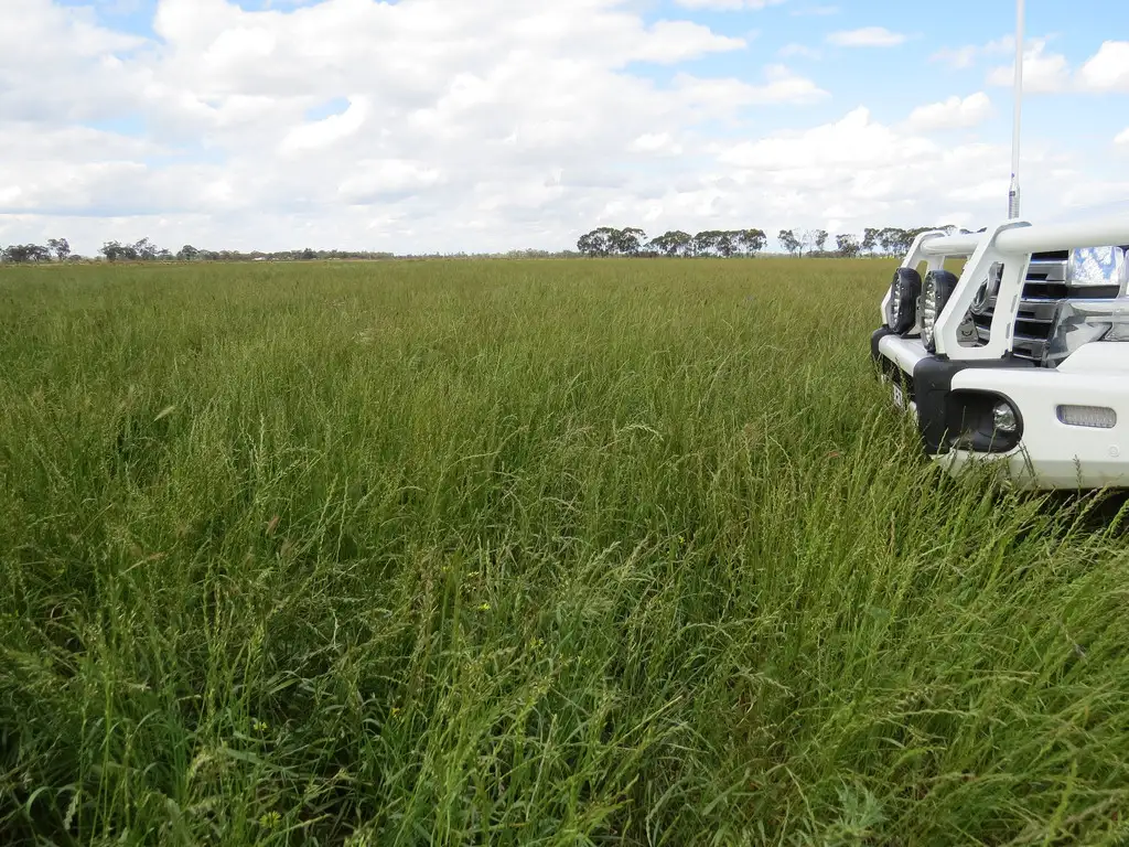 Main view of Homely rural property listing, 14 YALOKE ROAD, Deniliquin NSW 2710