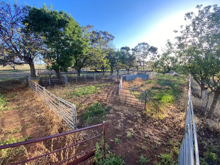 Third view of Homely rural property listing, 14 YALOKE ROAD, Deniliquin NSW 2710